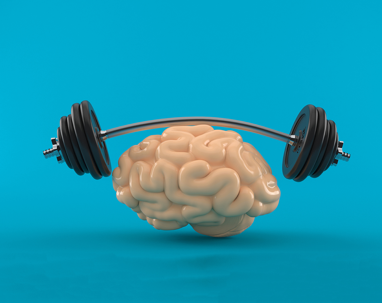 Brain Training